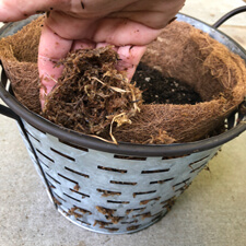 Container Gardening - Coconut Coir and Spaghnum Moss