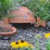 Toad House in Garden
