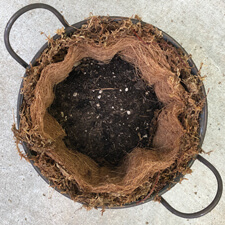 Container Gardening - Coconut Coir, Moss and Potting Soil
