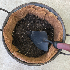 Container Gardening - Coconut Coir and Potting Soil