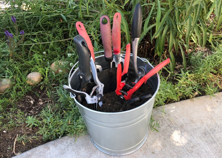 Garden Tool Bucket Wildflower Yard