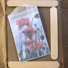 DIY flower seed packets with popsicle sticks