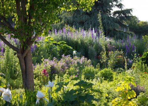 California Garden Tour