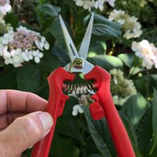 Garden Shears