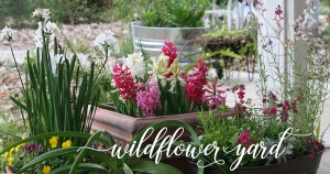 Container Gardening - Spring Flowers & Bulbs